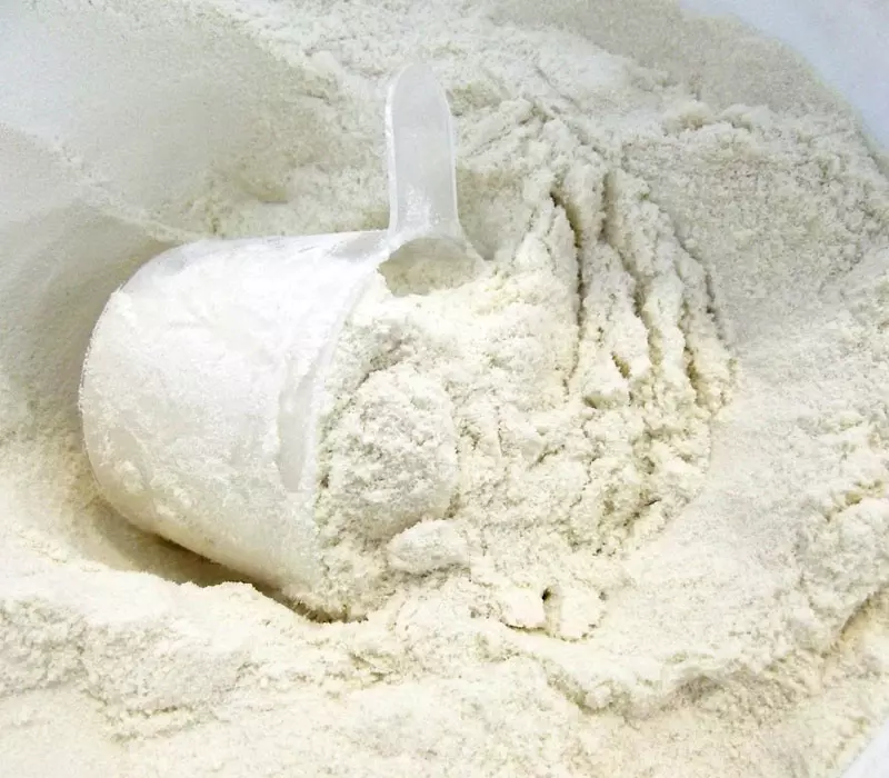 %90 Demineralized Whey Powder